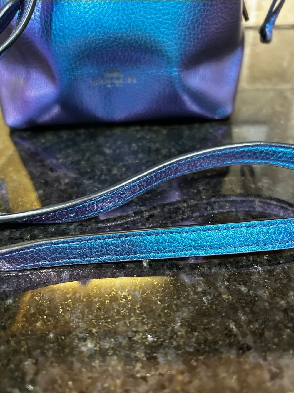 Coach NASA F29204 DerbyHologram Crossbody Blue PurplePebbled Leather Bag